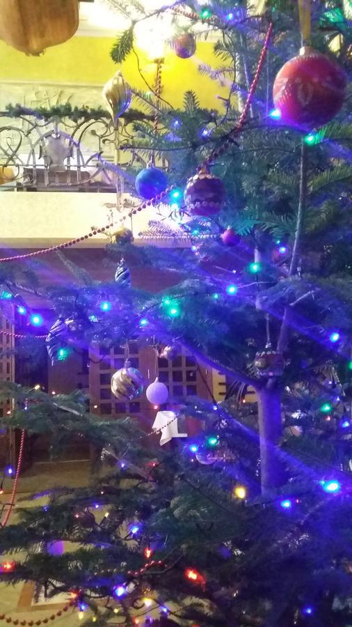 Letuchiy Gollandets Hotel Oezjhorod Buitenkant foto
